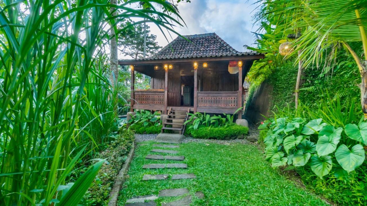 Iyume Villas تيغالالانغْ المظهر الخارجي الصورة